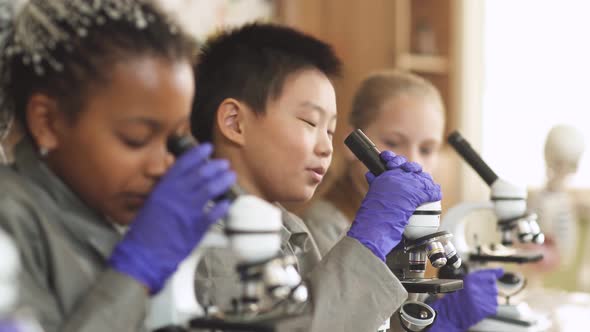 Lesson in a Modern School, Kids Look at Microscopes in a Chemistry Lesson, the Process of Teaching