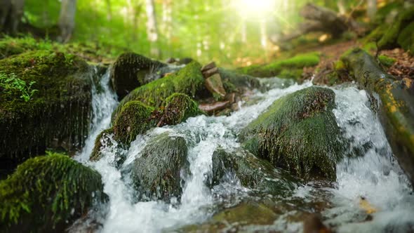 Small Mountain River with Crystal Clear Water. Water Flows Over the Stones Overgrown with Moss in