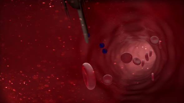 Antibodies injected into blood cells with a vaccine alt