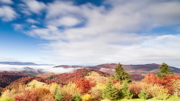 Wonderful Autumn Landscape with Beautiful Blue Sky and Majestic Clouds Forest Sunset Beautiful Fall