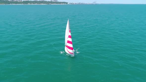 Sailing boats in the sea. Aerial drone view of floating sailing yachts in sea