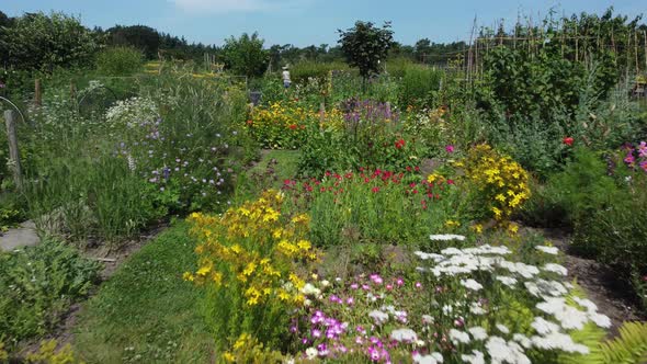 Flower Garden botanical Aerial flying over flowers and butterflies