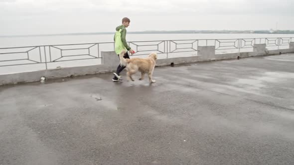 Child Playing with Dog at Pier