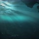 Underwater Loop 4K - VideoHive Item for Sale
