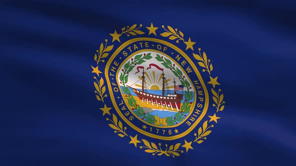 New Hampshire State Flag Background 4K