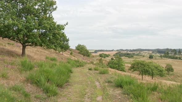 Aerial shot of the danish national park Mols Bjerge