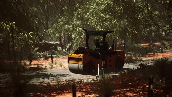 Road Roller Tractor in the Forest