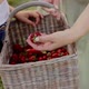 Mother and Daughter Holding Basket of Strawberries - VideoHive Item for Sale