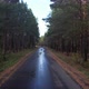 Forest Road After Rain - VideoHive Item for Sale