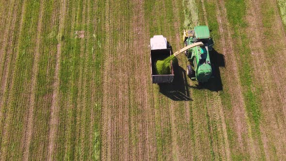 Harvester Loads Chopped Grass Into the Machine Aerial View