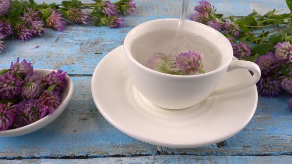 Brewing a tisanes from red clover in a white cup. Composition on vintage light blue wooden tabletop 