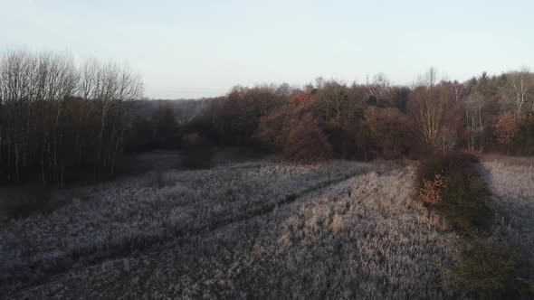 early morning winter landscape with a pathway and trees and frost-covered bushes