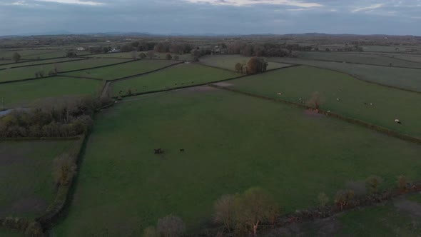 Flying over the green Irish countryside