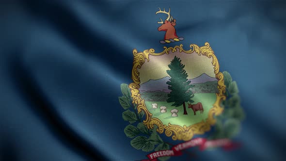 Vermont State Flag Angle