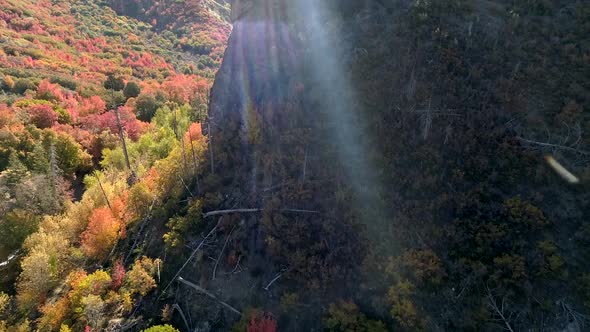 Flying over jagged cliff revealing canyon in Fall color