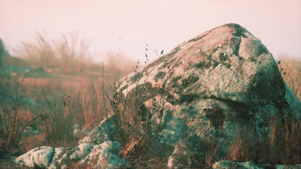 Dry Grass and Rocks Landscape