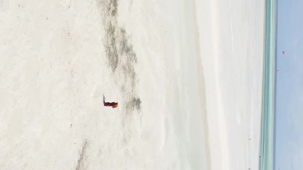 Zanzibar Tanzania  Vertical Video of the Ocean Near the Coast Slow Motion