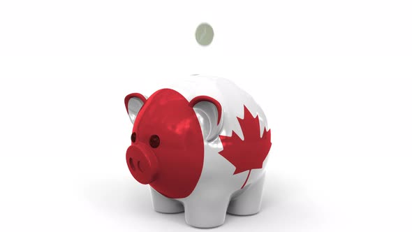 Coins Fall Into Piggy Bank Painted with Flag of Canada