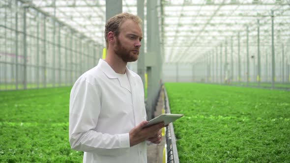 Hydroponic Farm Greenhouse of Man Agronomist Using Tablet Computer Standing in Garden Spbd