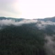 Forest steam clouds - VideoHive Item for Sale