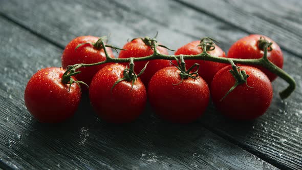 Branch with Cherry Tomatoes 