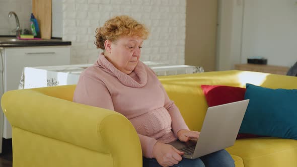 Surprised Caucasian Fat Woman Looking on Laptop