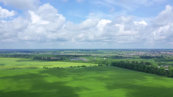 Beautiful Flying In Nature Among The Clouds