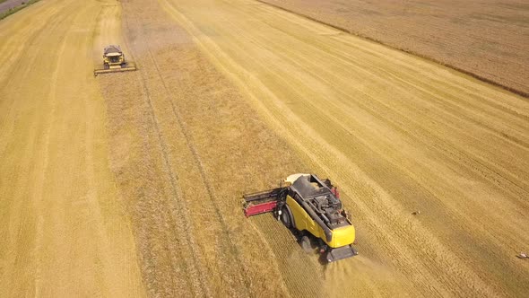 Aerial view of combine harvester harvesting large ripe wheat field.