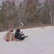 Lesbians' winter walk Two lesbians are resting outdoor LGBT Lesbian concept Bisexual Love - VideoHive Item for Sale