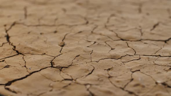 Drought. Cracked Earth Under Scorching Rays of the Sun, Dried Soil