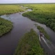Everglades - VideoHive Item for Sale
