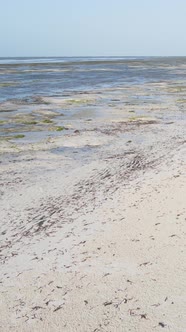 Tanzania  Vertical Video of Low Tide in the Ocean Near the Coast of Zanzibar Slow Motion