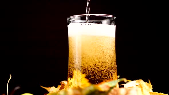 Pouring Beer in Glass With Autumn Season Decoration Close Up