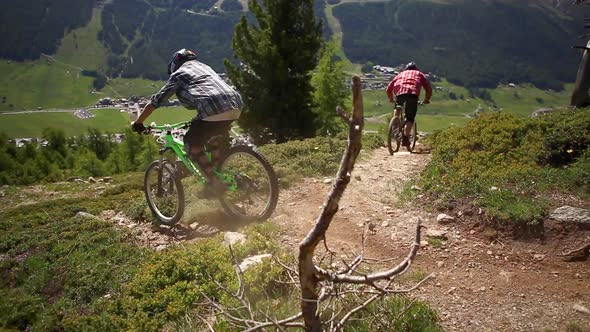 A group of mountain bikers riding in a forest.