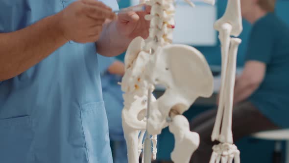 Male Osteopath Explaining Bones on Human Skeleton Exam