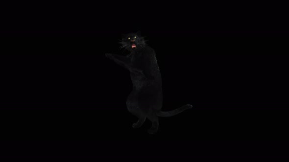 80 Panther Standing Magic Attack 4K