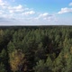 Forest from above - VideoHive Item for Sale