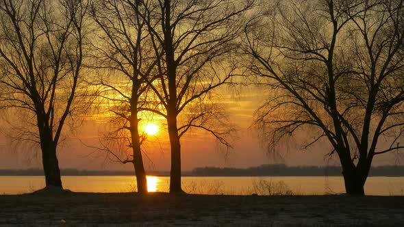 Colour Sunset Over The Trees And River With Sun And Orange Clouds