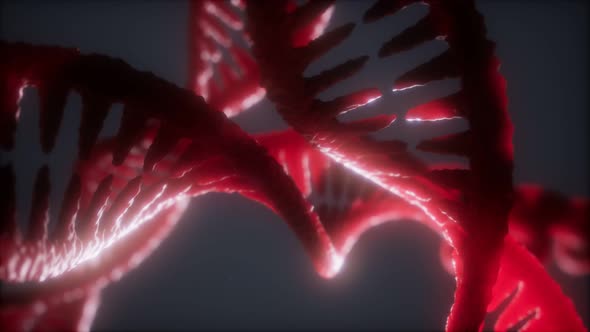 Loop Double Helical Structure of Dna Strand Closeup Animation