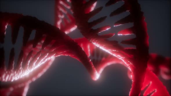 Loop Double Helical Structure of Dna Strand Closeup Animation alt
