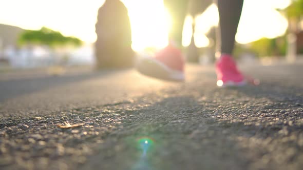 Close Up of Woman Tying Shoe Laces and Running Along the Palm Avenue at Sunset