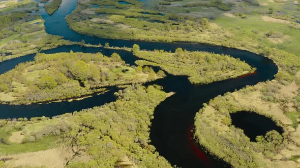 Aerial View Green Forest Woods And Curved River Landscape In Sunny Spring Day