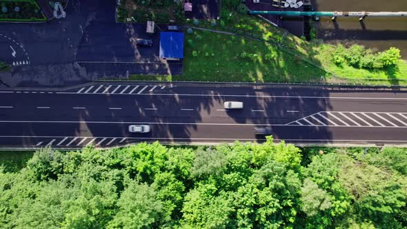 Car Driving Down an Asphalt Road Crossing the Vast Forest