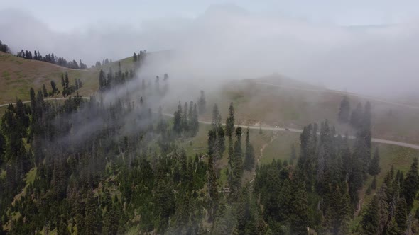 Car is going in the misty mountain