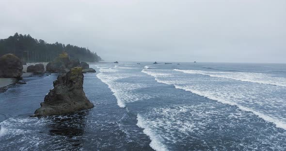 Footage of dark creek in a dense dusky forest at Ruby Beach, Olympic National Park, Washington, USA