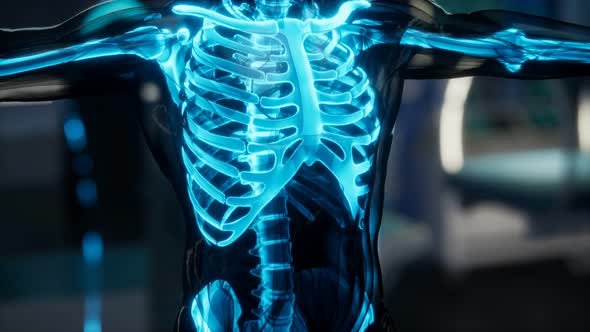 Human Skeleton Bones Scan Exam in Lab alt