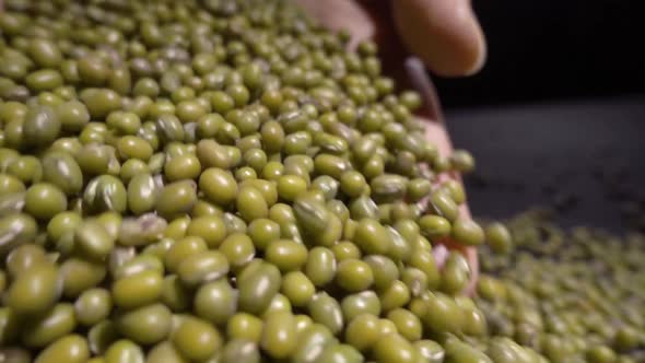 Green Beans Lentils