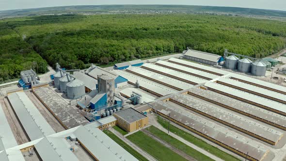 Aerial View of Large Animal Pig Farm on the Natural Background.