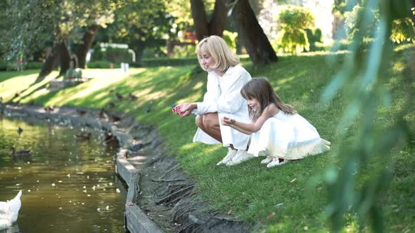 Excited Caucasian Daughter and Mother Smiling Admiring Ducks on Lake in Park