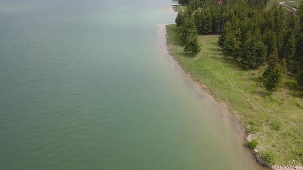 Aerial moving shot of water front from lake meeting woodland